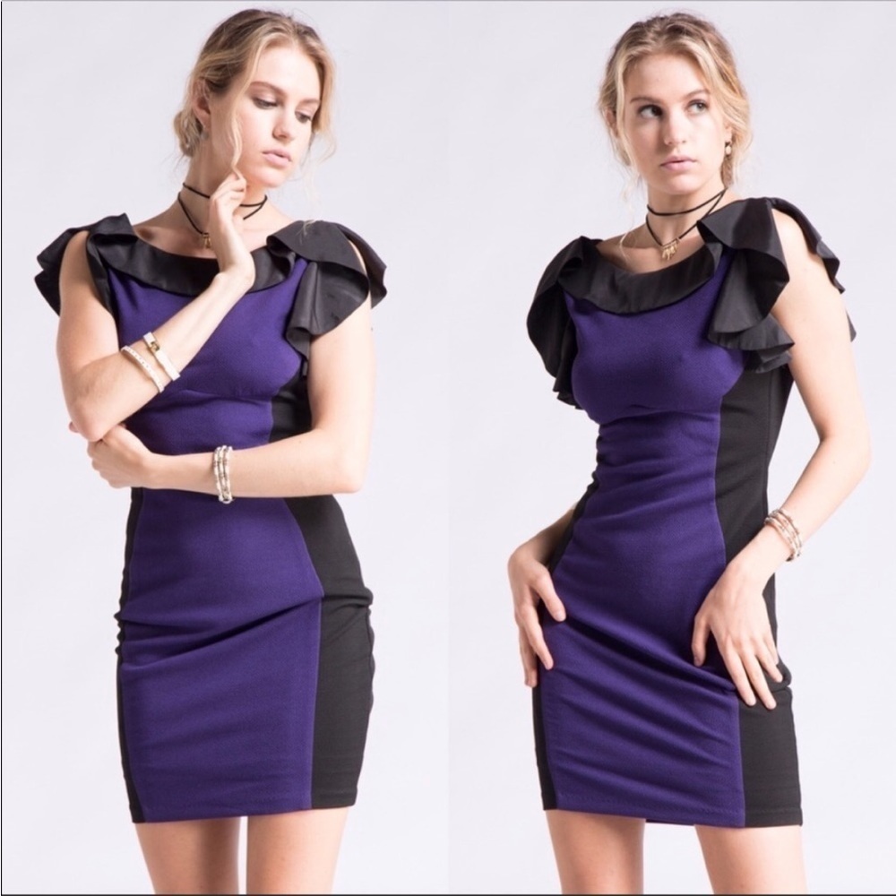 NWT Bodycon Dress Small Fashionomics Purple Black Color Block Ruffled Color Slvs